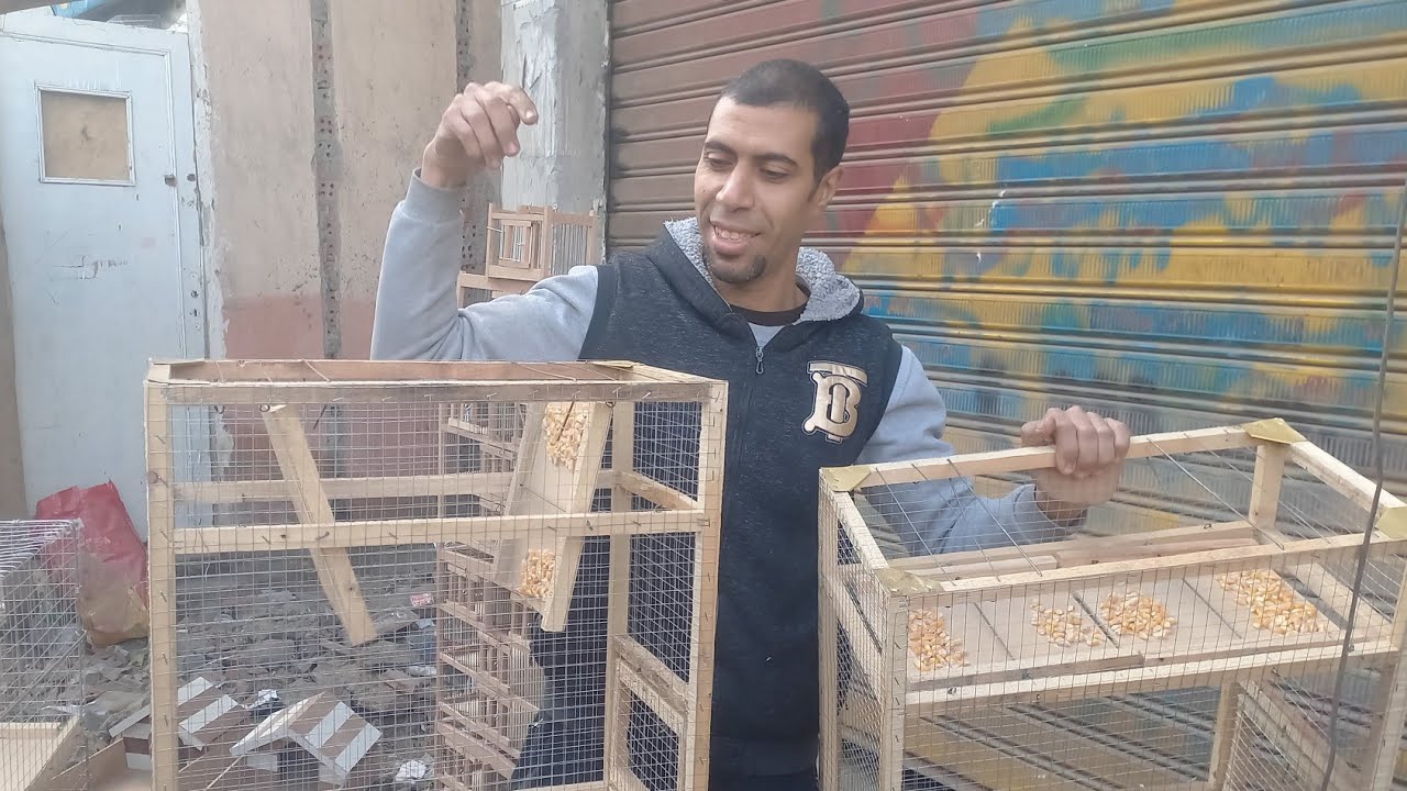 شغل فاخر م الاخر👈المحترم ابو عمار💚الشيالات الخشب الزان💐الشعبي👌الهامستر بطفراته👍السلاحف😉وكله بالاسعار