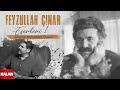 Ender balkr  nsana muhabbet duyal i feyzullah nar eserleri 1 2024  kalan mzik