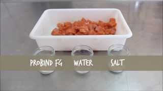 Restructured Salmon With Probind Fg - Transglutaminase