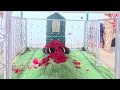 SALAM UPON RASOOLALLAH SAWS GHUSL E SHAREEF BY HZ AYUB ALI SHAH BIYABANI #trending #mehfil #salam
