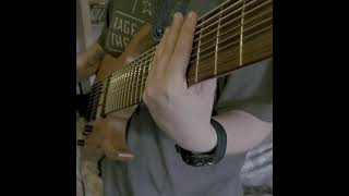 Vio7entTea - Disintegration ( 10 string guitar )
