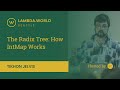 Lambda World 2018 - The Radix Trees How IntMap Works - Tikhon Jelvis