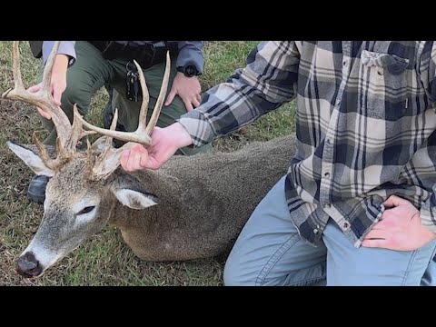 Rare-shot-Monroe-County-hunter-harvests-antlered-doe