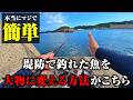 たったコレだけ。堤防で釣れた魚を大物に変える簡単な釣り方がこちら