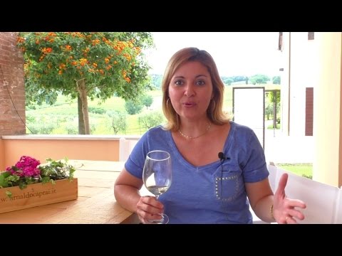 Vídeo: Vinícolas Montefalco e Sagrantino na Úmbria, Itália