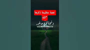 قرآن كريم قصير | وشجرة تخرج من طور سيناء | تلاوة خاشعة | مؤثر #قرآن #القرآن_الكريم #استماع_القرآن