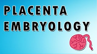 Placenta Embryology and Functions