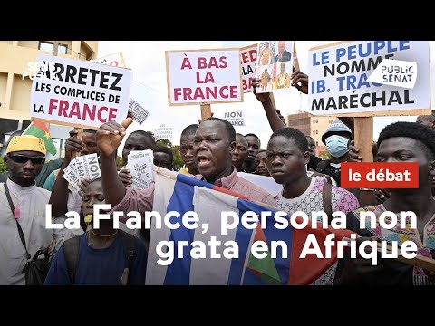 Vidéo: Peut-on utiliser persona non grata ?