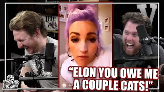 Jamie Lynn Spears Keeps Killing Cats with Her Tesla