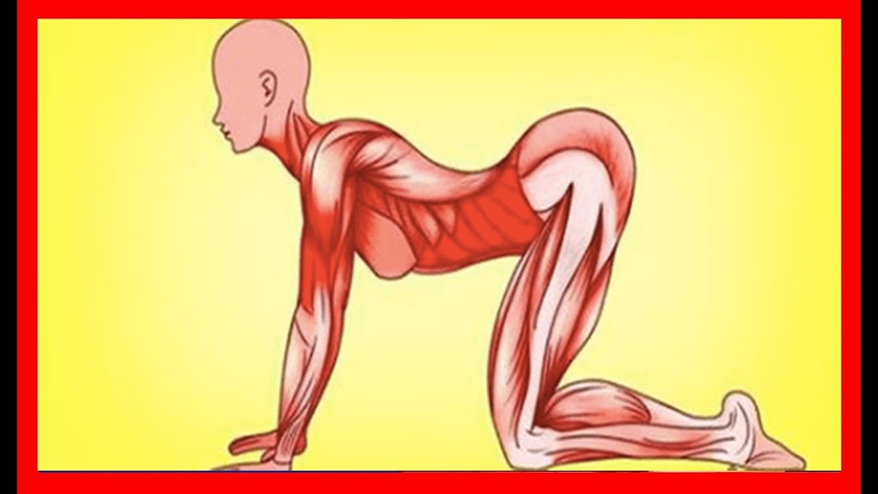 Ejercicios que usan las Japonesas ideales para el cuerpo