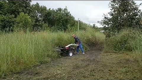 Máy cắt cỏ trục băm Nhuyễn Xuân Ninh đường cắt 1,2m máy 20hp mạnh bất chấp