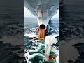 ships