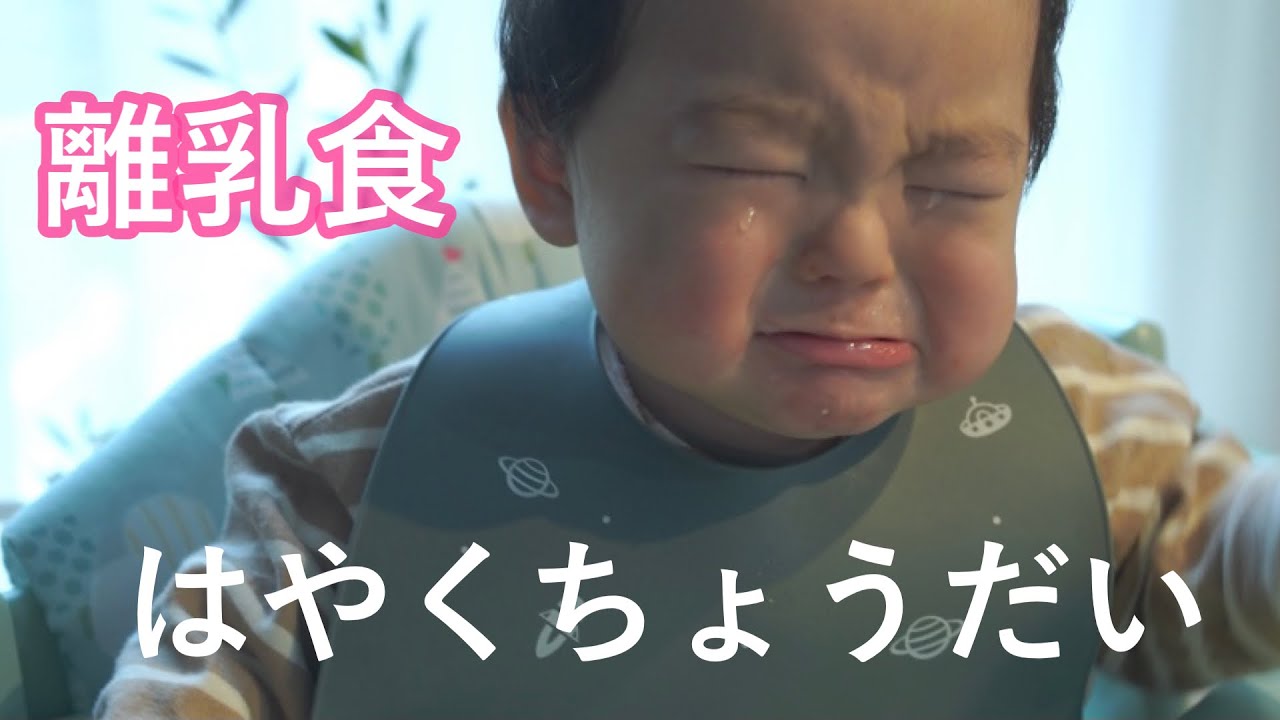 欲しすぎて泣く 離乳食中期 赤ちゃん Youtube