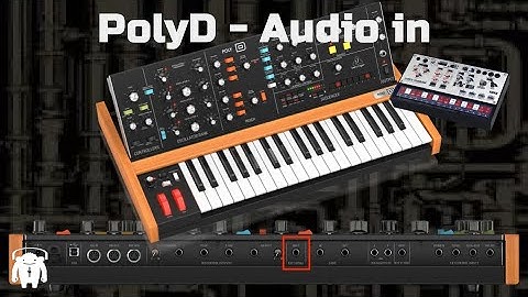Behringer PolyD - Audio in is fun...