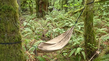 Hammock Chair