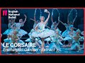 Le Corsaire: Alina Cojocaru in the Enchanted Garden scene (extract) | English National Ballet