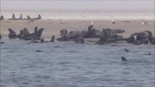 Film Namibie Mai 2016