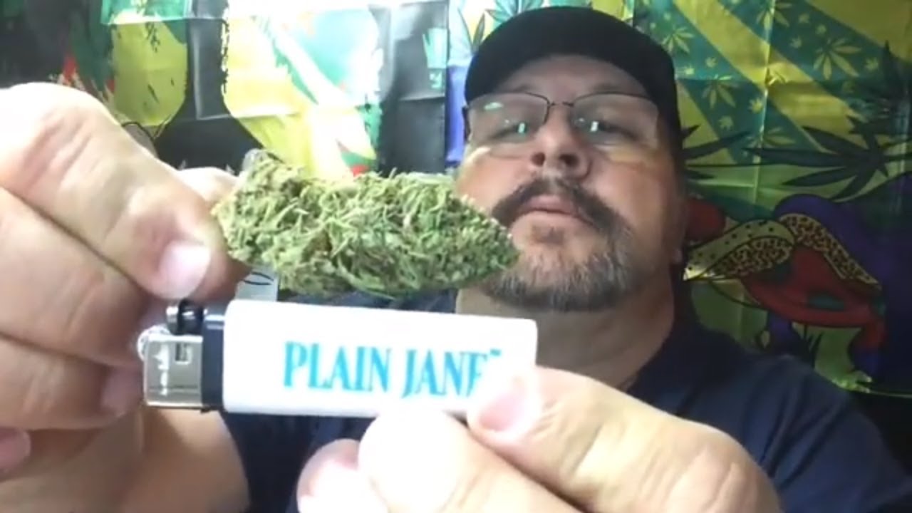 Elektra CBD Hemp Flower from Plain Jane. 