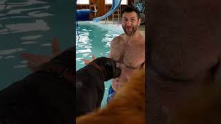 Lee Asher’s Journey With Fearful Puppy To Overcome Her Swim Phobia | My Pack Life | Animal Planet