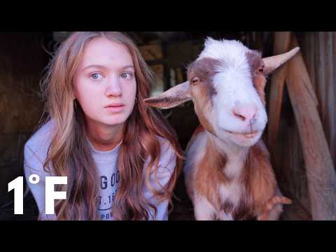 Thumbnail for Surviving Winter on a Farm | Teen Farming