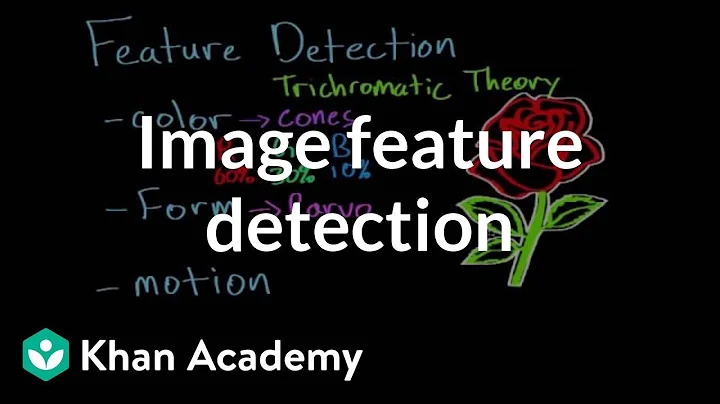 Feature detection and parallel processing | Processing the Environment | MCAT | Khan Academy