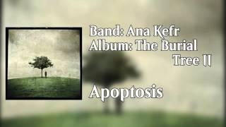 Watch Ana Kefr Apoptosis video