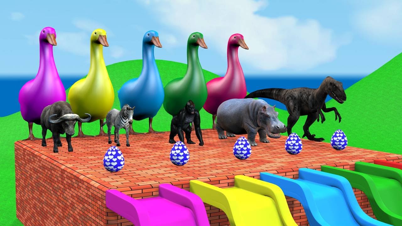 Long Slide Game Dinosaur  Hippopotamus Gorilla  Zebra Buffalo - 3d Animal Game - Funny 3d Animals
