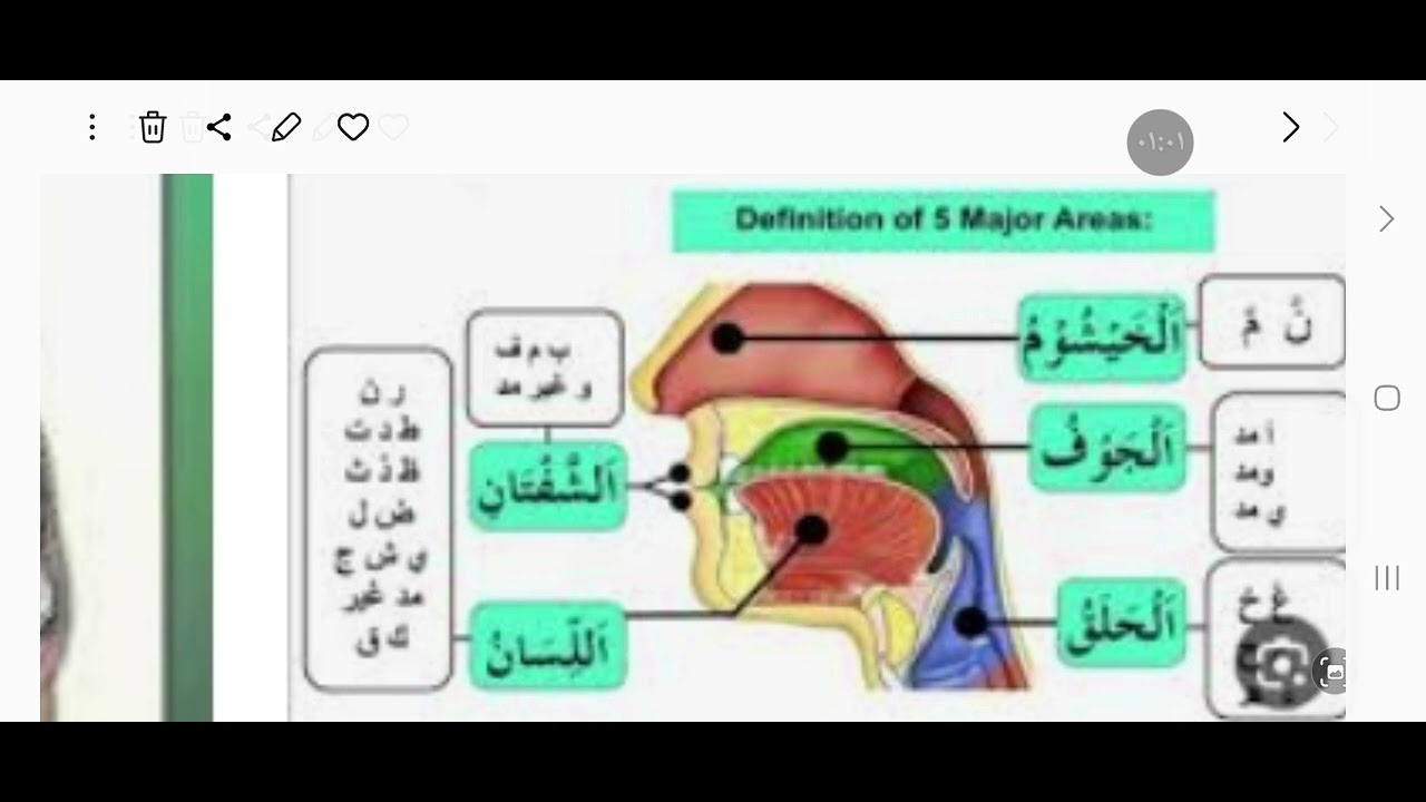 مخارج الحروف حروف اللسان 