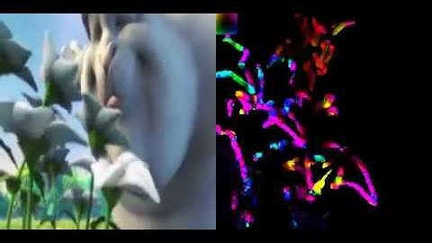 Simple Lucas-Kanade Filter for Optical Flow Estimation on GPU