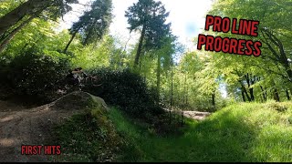 Windhill Bike park MTB | Pro line, step down and gap