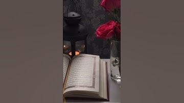 من أجمل ما قرأ القارئ أمين موسى. ج٧٩