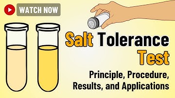 Salt Tolerance Test in Microbiology | Principle, Procedure, and Applications Explained!