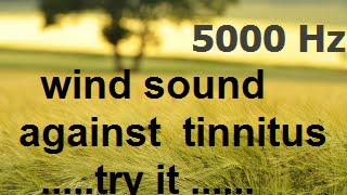 One Hour wind at 5000 Hz as sound therapy for tinnitus 5 KHz