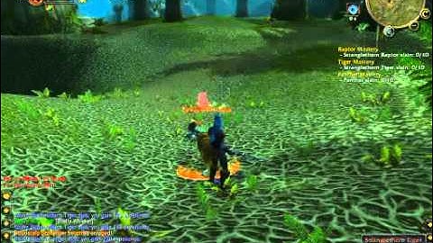 Joana - Levels 31 Stranglethorn Vale - Vanilla WoW 1-60 Speed Run