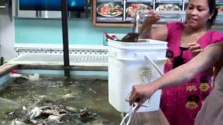 We love crabs! Ms. Apples Crab Shack