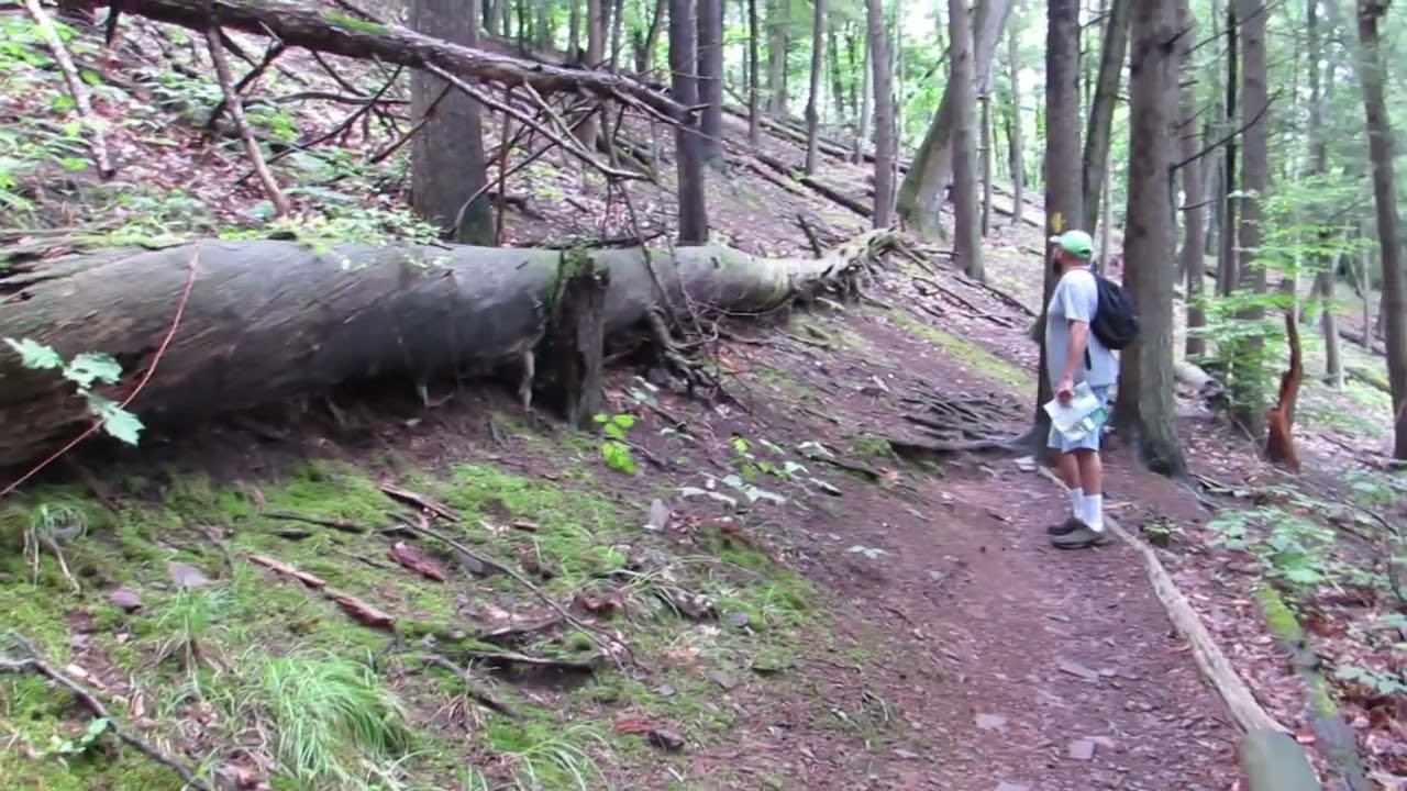 A hike at Evansburg State Park in Pa