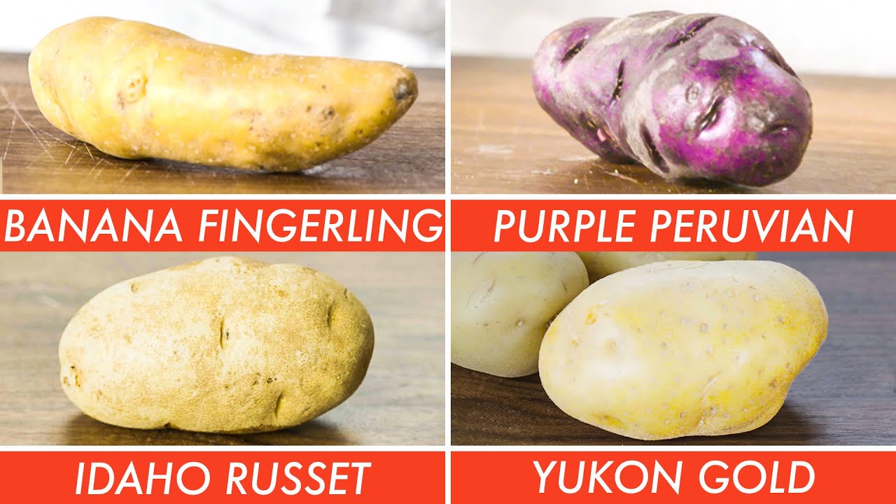 The Brown Russet Potato vs. The Red Potato • The Cooking Dish