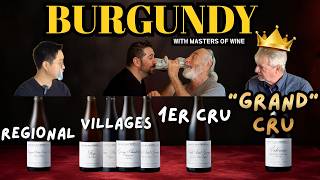 7 Burgundies. Masters of Wine Disagreed on the Winner.