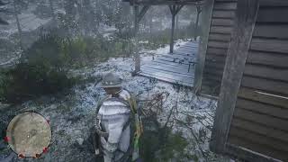 Rdr2 update was made for new players must watch screenshot 2