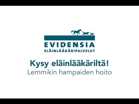 Video: Kysy Asiantuntijoilta: Matkavinkit Ja Tarinat Lentoyhtiöiden Ammattilaisilta