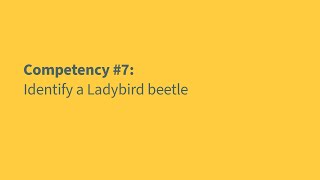 Australian Pollinator Count - Competency #7