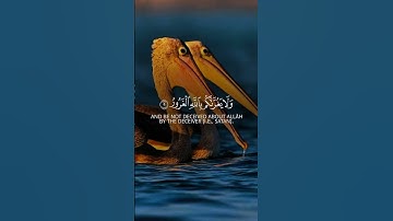 ‎تلاوت قرآن الكريم #قرآن_كريم #تلاوة #سورة #سبحان_الله #صباح_الخير #راحة_نفسية #رمضان #الله #محمد