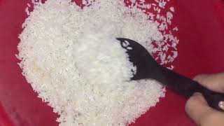 PBL BIO F4: Fermentation: Tapai (alia natasha) BIOLOGY KSSM Project Based Learning