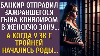 видео: Банкир отправил зажравшегося сына конвоиром в женскую зону… А когда у зечки с тройней начались роды… картинка: Банкир отправил зажравшегося сына конвоиром в женскую зону… А когда у зечки с тройней начались роды…