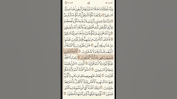 أيات بينات من سورة الزخرف // للقارئ الشيخ ماهر المعيقلي // تلاوة عطرة// حالات واتس
