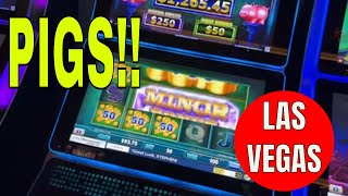 Buffalo and Pigs ✅ Las Vegas LIVE Cash or Crash - LIVE Stream STUFF