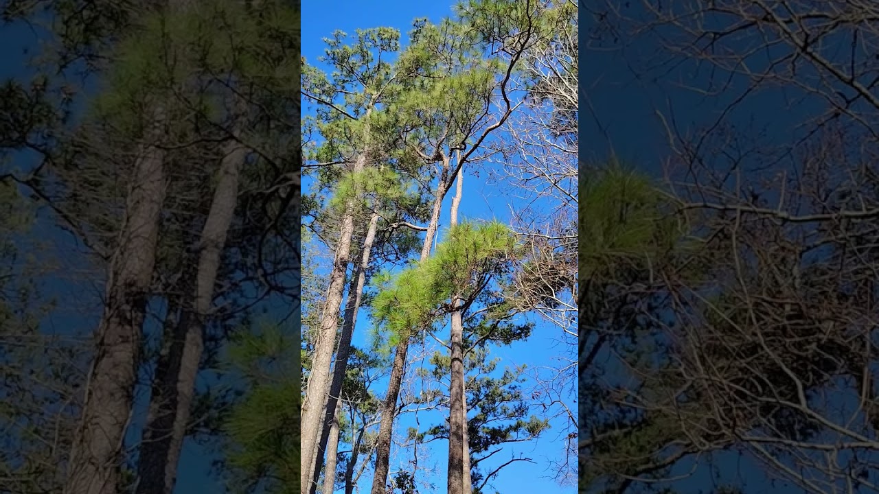 Solid as a rock, Cornerstone Church, Reformed 