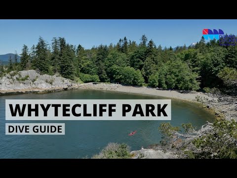 Wideo: Whytecliff Park: Kompletny przewodnik