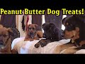 Cookies For My Dogs! ♥