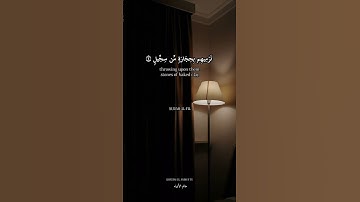| سورة الفيل🤎🖤|الشيخ رعد محمد الكردي|أَلَمۡ تَرَ كَیۡفَ فَعَلَ رَبُّكَ بِأَصۡحَـٰبِ ٱلۡفِیلِ🤎|